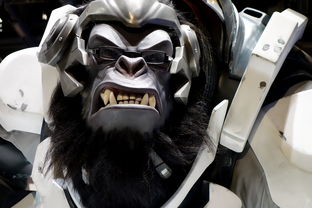 mk体育网址-王者荣耀顶尖玩家操作演示,王者顶级玩家